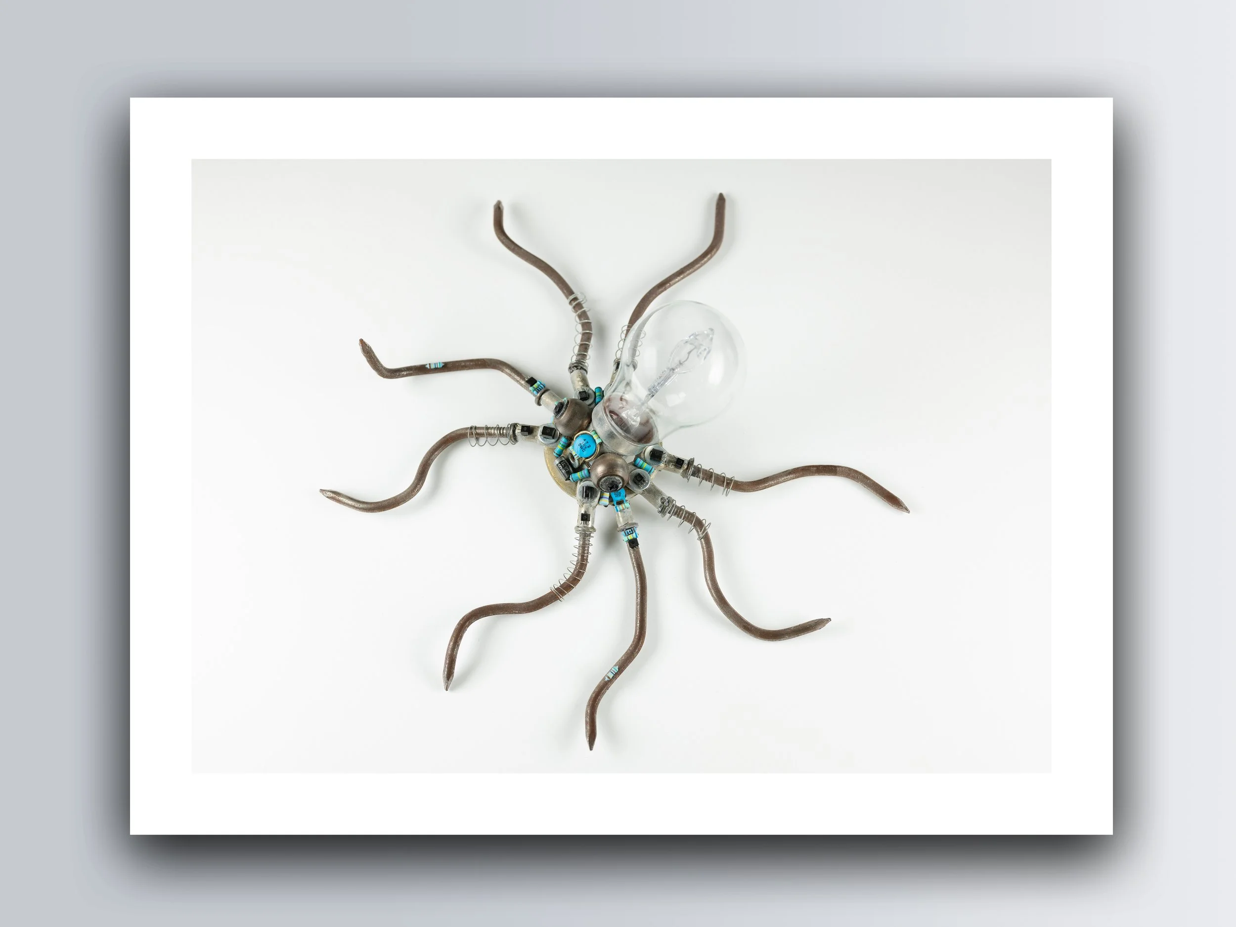 Zak Miskry Creations — Zak Miskry Creations